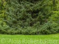 2014_10_16_105004-