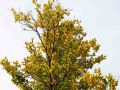 2012_10_13_160459-