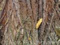 2014_10_16_132825-