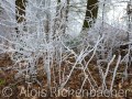2016_12_17_133551-