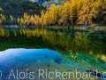 2017_10_15_085019-