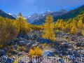 2021_10_17_011-