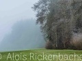 2025-12-04-008-