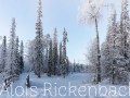2016_01_12_007-