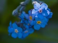 2012_07_23_172316-