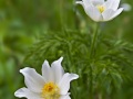 2014_06_15_100638-