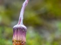 2016_06_18_114353-