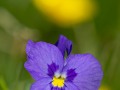 2017_06_18_103924-