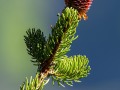 2018_05_11_160241-