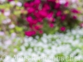 2025-05-04-037-