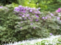 2025-05-04-039-