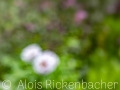 2025-05-04-044-