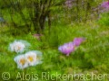 2025-05-04-051-