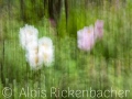 2025-05-04-054-