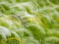 2025-05-16-017-