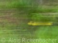 2025-05-24-006-