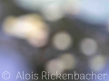 2025-08-06-009-
