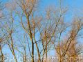 2015_01_13_161300-