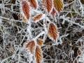 2016_12_31_160211-