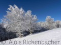 2022-12-11-001-