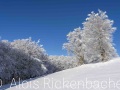 2022-12-11-002-