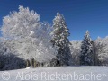 2022-12-11-004-
