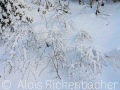 2024-12-25-004-