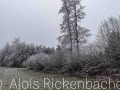 2025-12-25-022-
