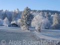 2025-12-27-007-