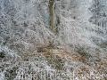 2026-01-23-013-Laowa-