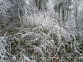 2026-01-23-014-Laowa-